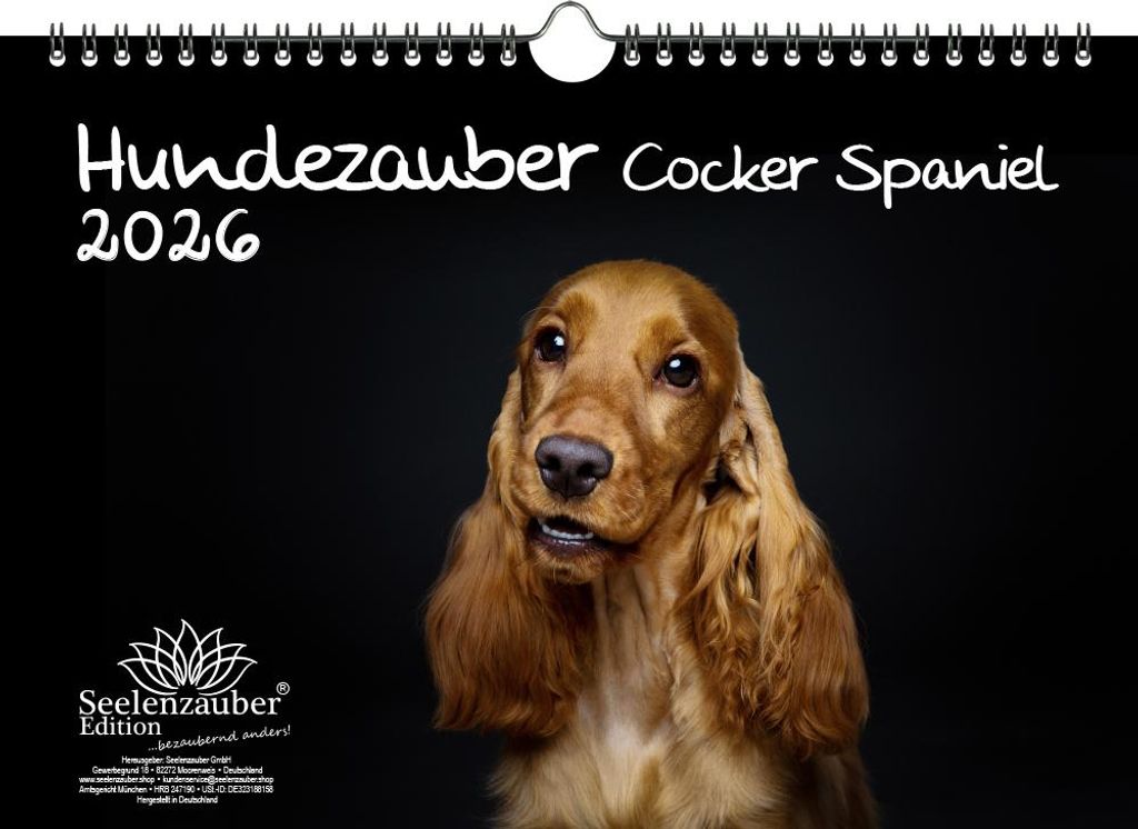 Hundezauber Cocker Spaniel DIN A4 Kalender für 2026 Welpen und Hunde