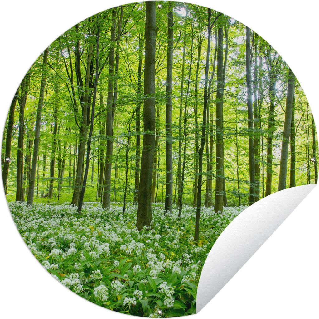 MuchoWow Gartenposter Outdoor-Poster Rund Wald - Bäume - Grün Ø 120 cm Gartendeko Rundes Poster draußen