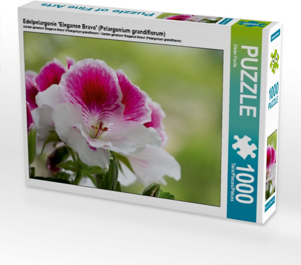 Calvendo Edelpelargonie 'Elegance Bravo' (Pelargonium grandiflorum) 1000 Teile Puzzle quer 640x480mm, Fuchs Dieter; 7365985