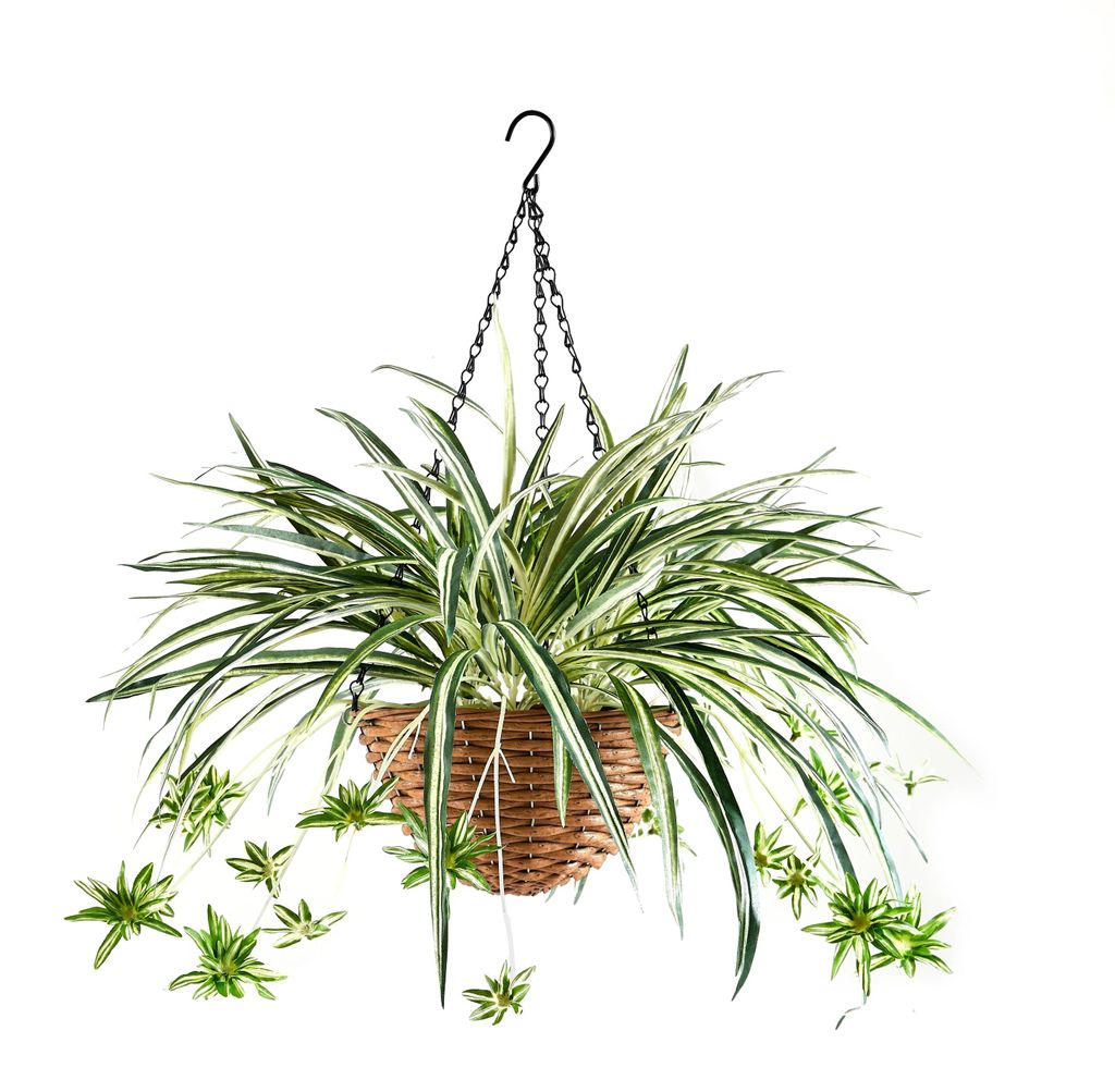 aplanta Künstliche Hänge-Grünlilie – Aurelio | 60 cm, für drinnen, Kunstpflanze, wie echt, Allergiker geeignet, pflanzliche Dekoration Praxis...