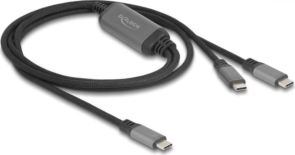 Delock USB-Kabel - 24 pin USB-C (M) zu 24 pin USB-C (M)