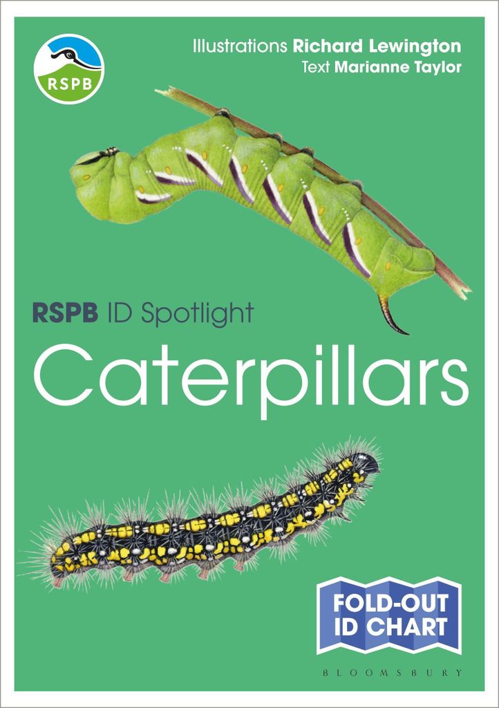 Rspb Id Spotlight Caterpillars – Lingua: Inglese