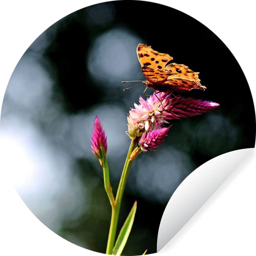 MuchoWow Runde Wandtattoo - Wandsticker Tapete Aufkleber Schmetterling - Blumen - Insekten Ø 80 cm Selbstklebend und Repositionierbar - Wandaufk...