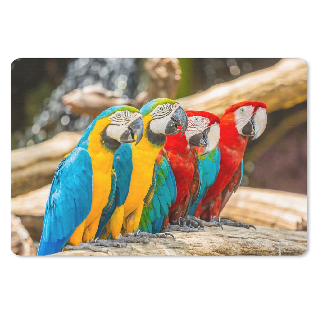 MuchoWow Mauspad Mousepad Vögel - Papagei - Tropisch - Natur 27x18 cm - Mousepads - Maus Mat - Pad - Mausunterlage - Büroartikel - Desk Matten