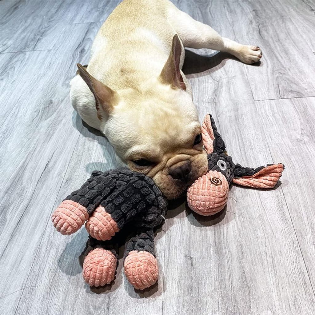 Zachte Ezel Speelgoed voor Kleine en Middelgrote Honden met Piep - Pluche Puppy Speelgoed.