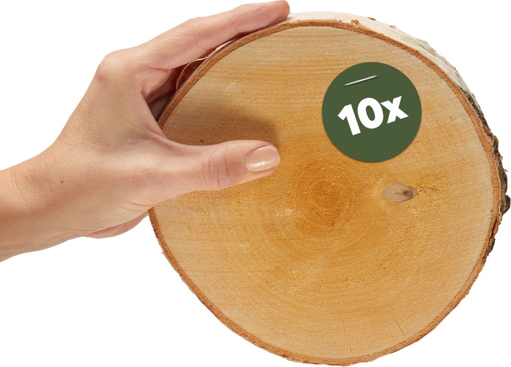 Kleine 16 cm Baumscheiben 10er Pack zum Holz-Deko Basteln