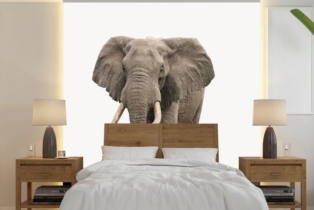 MuchoWow Fototapete für Wohnzimmer oder Schlafzimmer Wandtapete Vinyl Motivtapete Elefant - Kinder - Tiere - Mädchen - 350x350 cm - Kindertapet...
