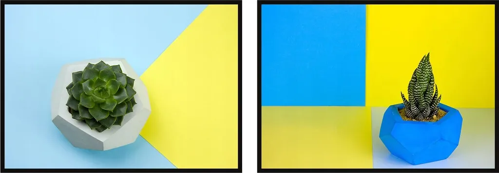 Diptyque Tableaux Ukraine Succulente P817 en Cadre 53x73cm Lot de 2