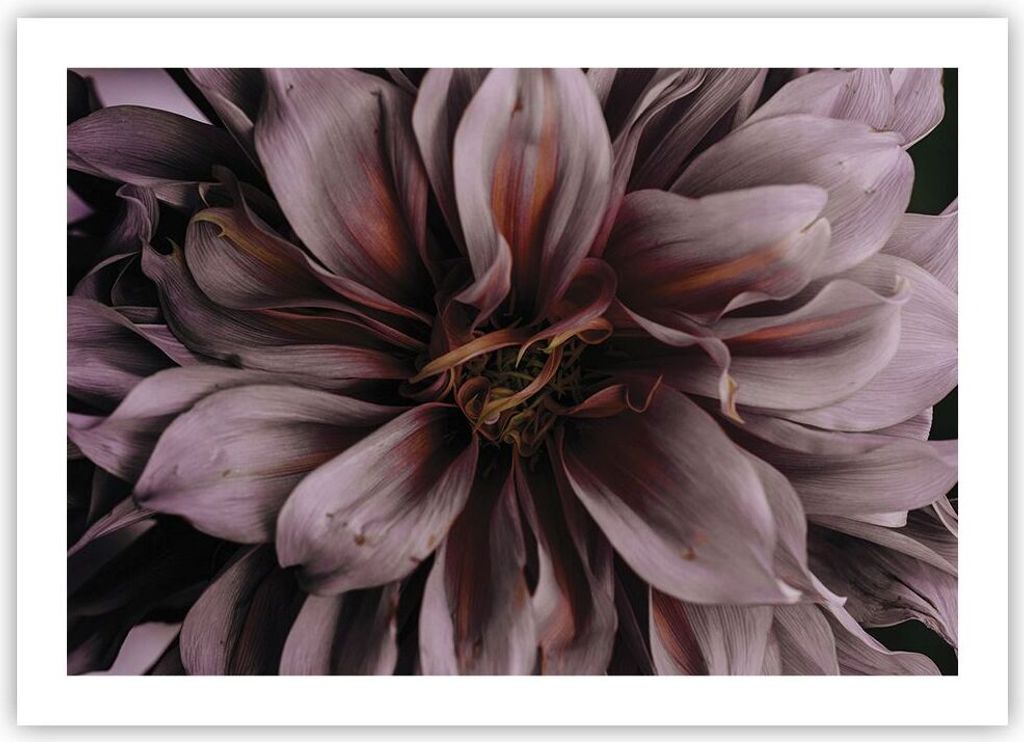 Poster - Poster ohne Rahmen - Blumenstrauß Künstlerisch Blume - 70x50 cm - Wand Bild - Wanddeko - Wandbilder - Kunstposter - Wandposter - Bilder ...