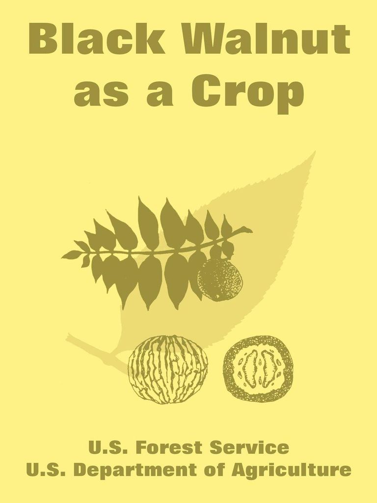 Black Walnut as a Crop.by Service New .