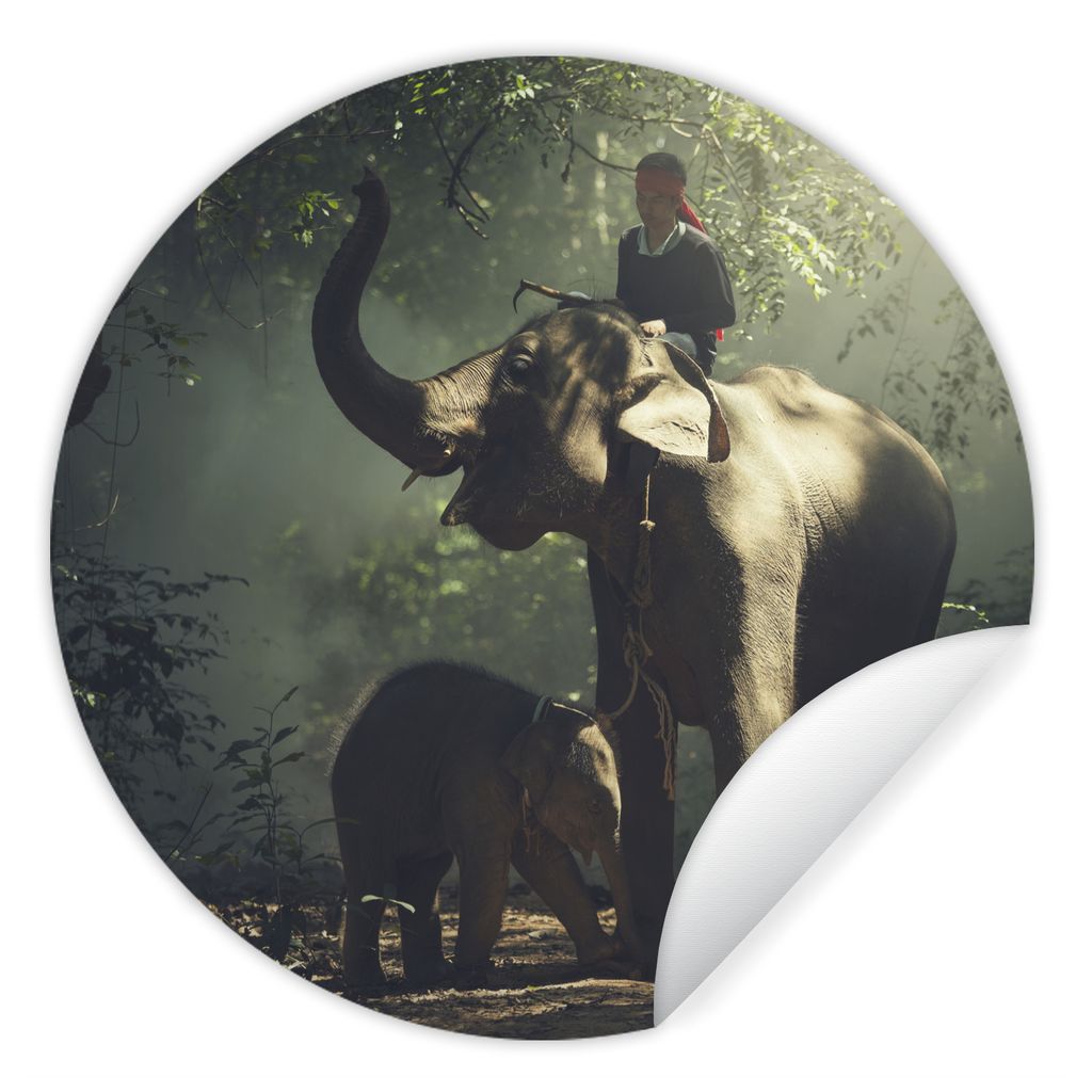 MuchoWow Runde Wandtattoo - Wandsticker Tapete Aufkleber Elefant - Wald - Bäume - Tiere - Trainer Ø 50 cm Selbstklebend und Repositionierbar - ...