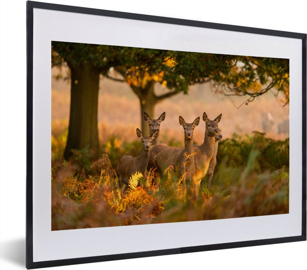 MuchoWow® MuchoWow® Gerahmtes Poster Waldtiere - Hirsche - Produktbild 