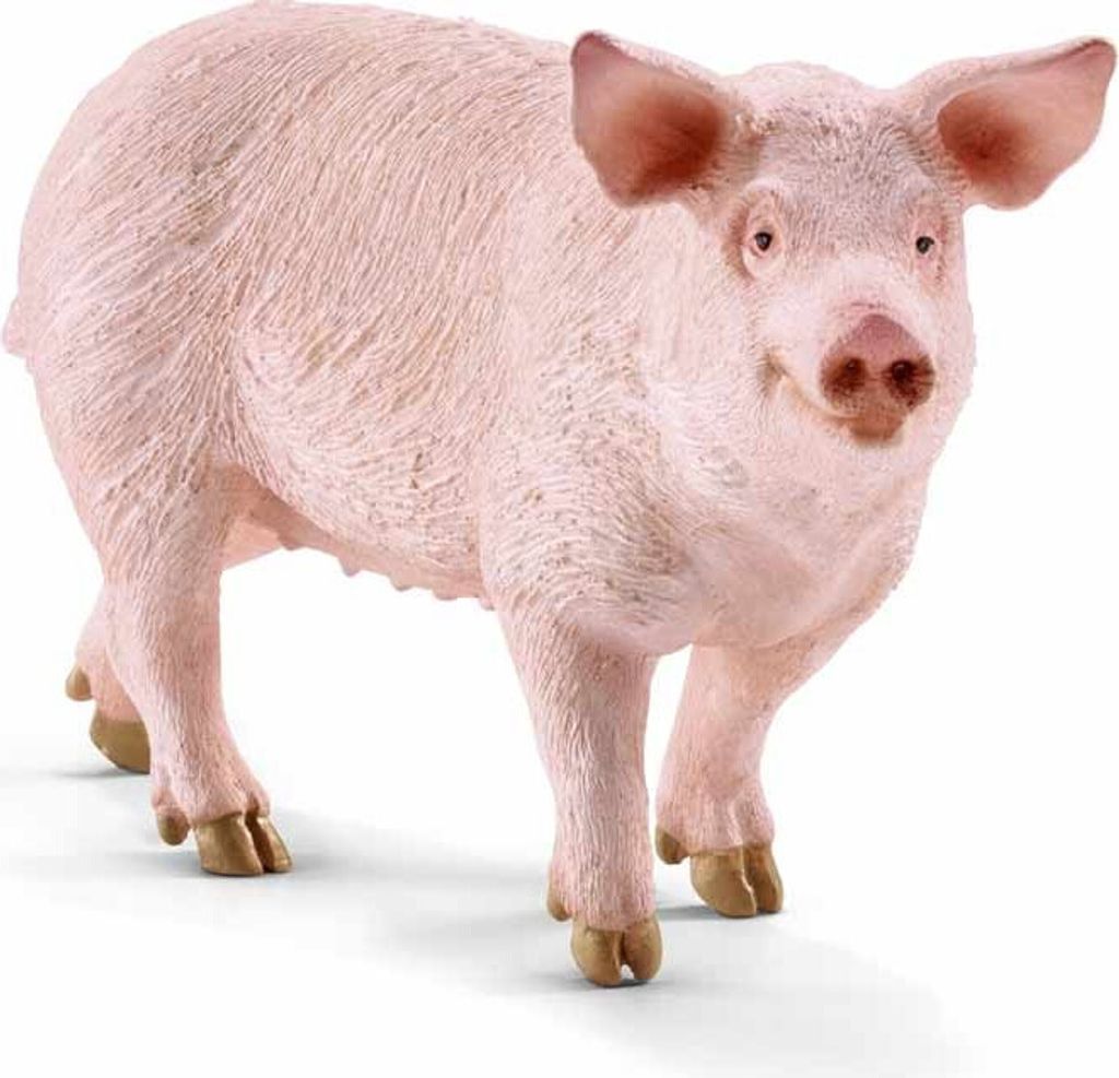 SCHLEICH Schwein 0 0 0