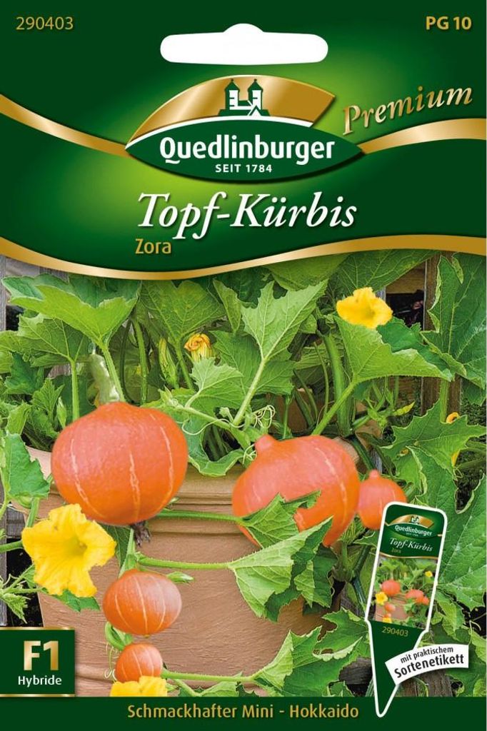 Topfkürbis Mini Hokkaido Zora | Gemüsesamen von Produktbild 