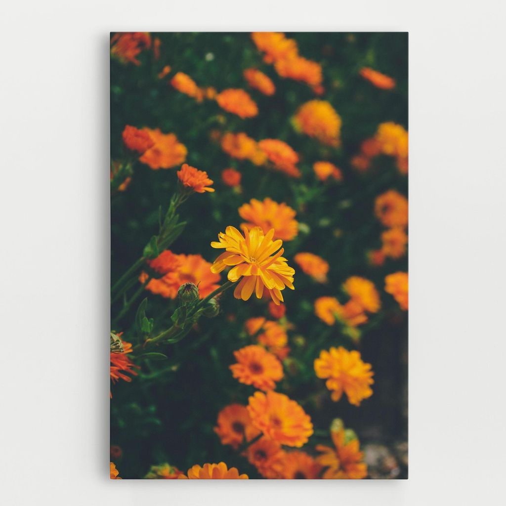 ARTHUB Leinwandbild 40x60 cm, Garden Orange Flowers | Wohnzimmerdekoration, Hängende Bilder, Wanddekoration, Heimdekoration, Blumen, Blumen in d...