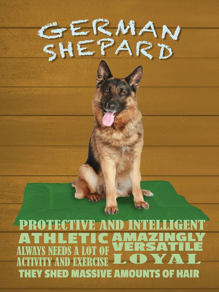 vianmo Holzschild 40x30 cm German Shepard Hund athletic