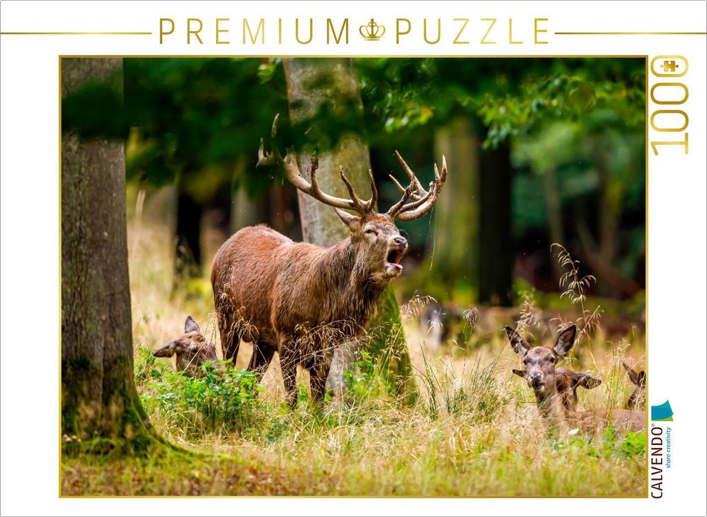 CALVENDO Puzzle Rothirsch in der Brunft 1000 Teile Puzzle quer | 1000 Teile Lege-Größe 64x48cm Foto-Puzzle für glückliche Stunden