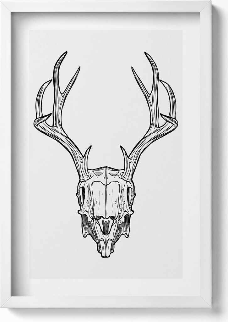 Hirschschädel mit Hörnern Skizze– Wandbild mit Rahmen – Gerahmtes Bild – Wanddekoration – 40x60 cm – Weiß