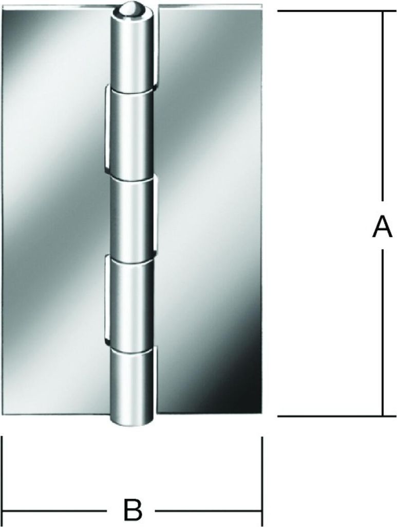 VORMANN Tür-Scharnier schmal,B31xH50mm gerollt Edelstahl,rostfrei