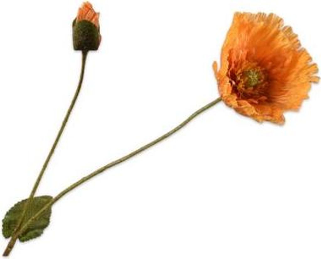 Silk-ka Kunstblume - Seidenblumen-Mohnzweig Orange 74 cm Produktbild 