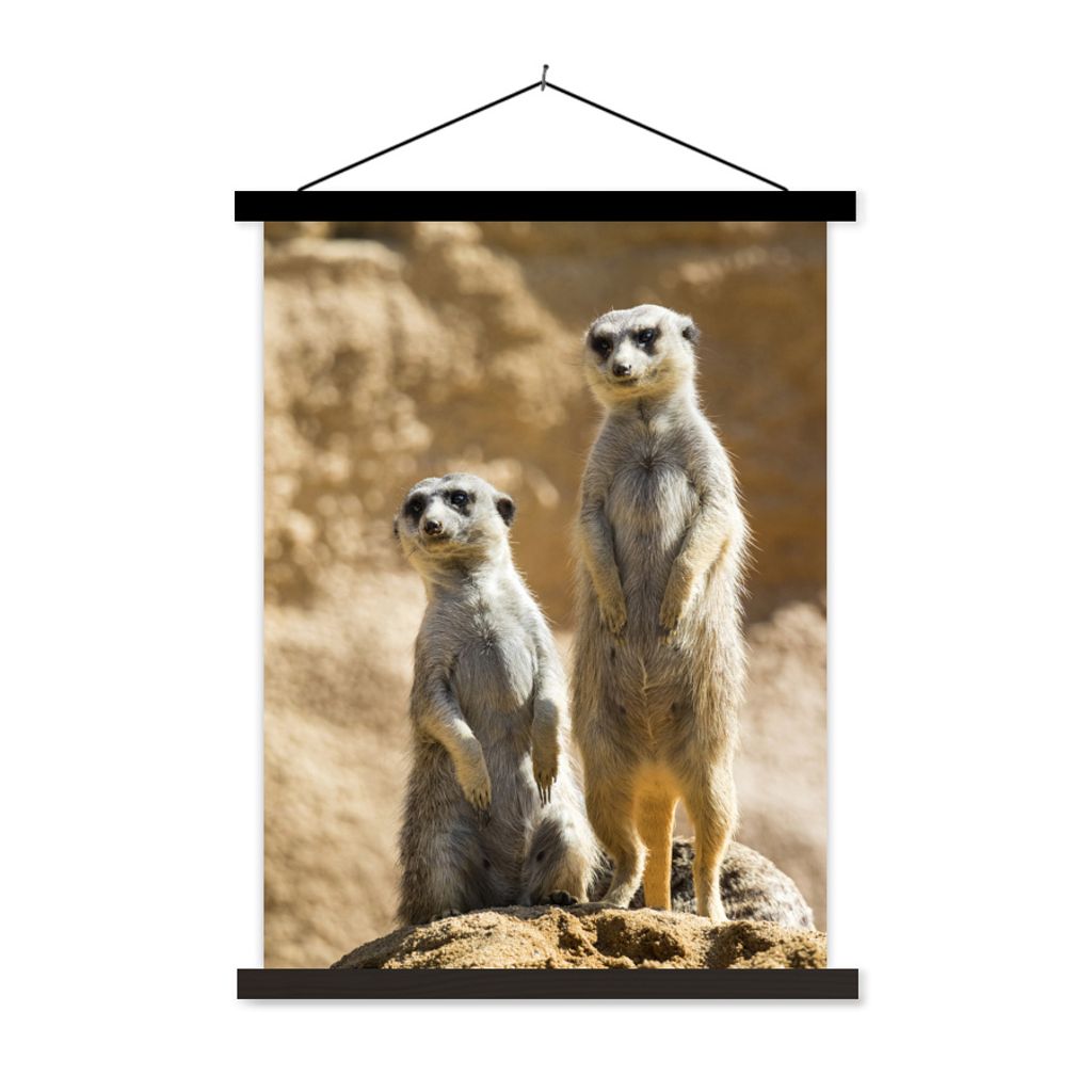 MuchoWow Textilposter Felsen - Erdmännchen - Tiere 60x80 cm mit schwarzem Rahmen - Plakathalter