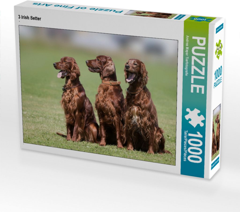 CALVENDO Puzzle 3 Irish Setter | 1000 Teile Lege-Größe 64x48cm Foto-Puzzle für glückliche Stunden