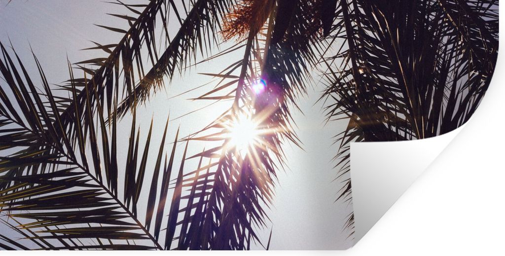 MuchoWow Wandtattoo Wandsticker Wandaufkleber Palmwedel - Sonne - Sommer 160x80 cm Selbstklebend und Repositionierbar - Sticker - Dekorfolie