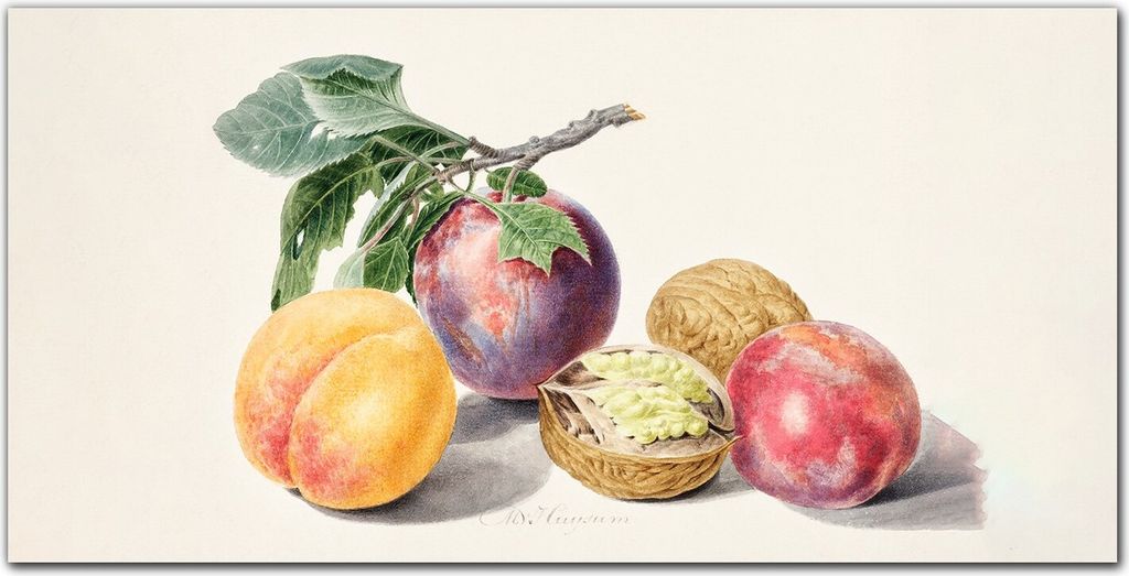 Coloray Küchenrückwand 100x50 Spritzschutz aus Glas - Fruchtzweig Blätter