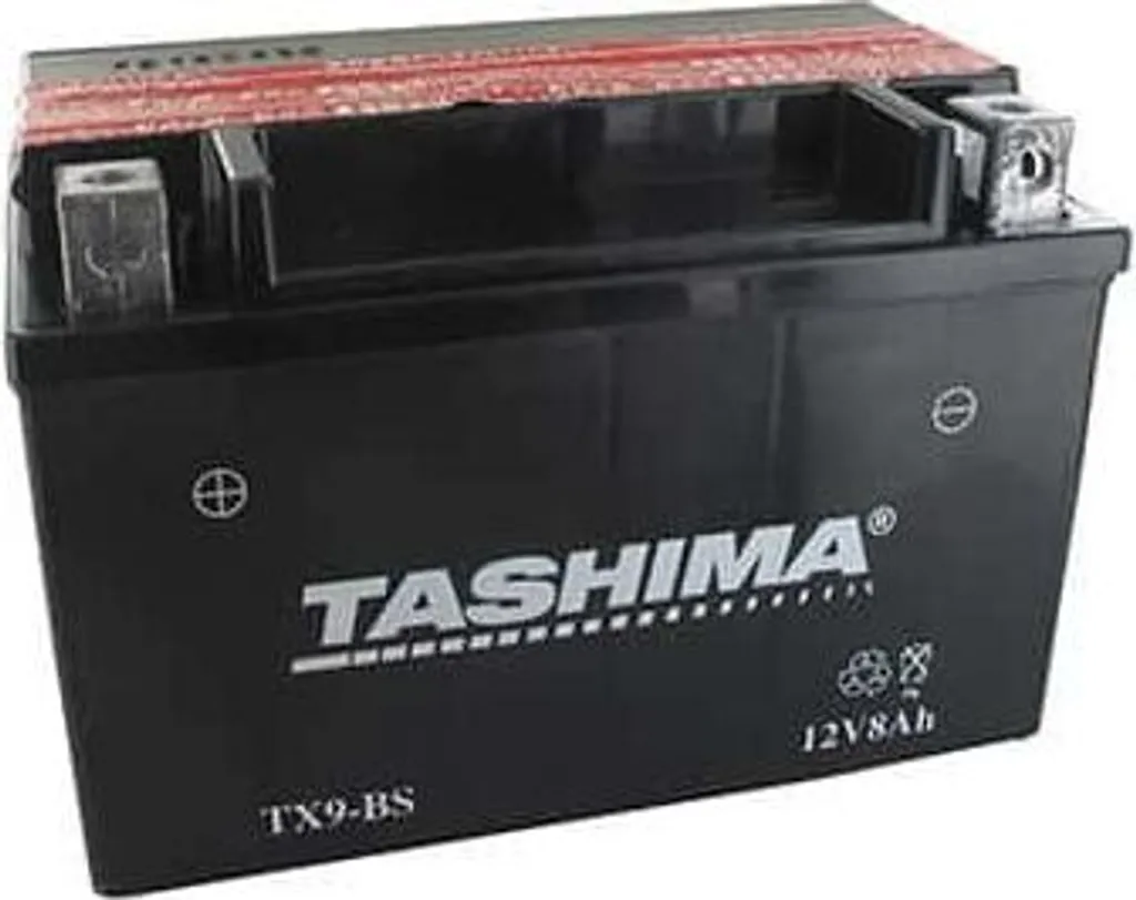 Batterie 12V 8Ah pour Hivernage et Remplacement Scooter et Quad 150mm