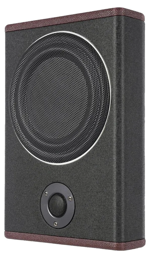 Subwoofer de Voiture Actif avec Son Puissant et Installation sous Siège