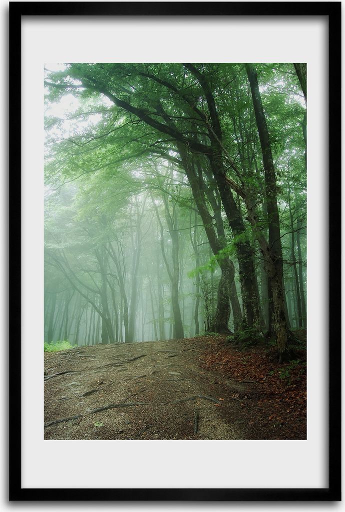 Bild - Bilderrahmen - 40 cm x 60 cm - MDF - Rahmen - Wandkunst - Nebel im Wald