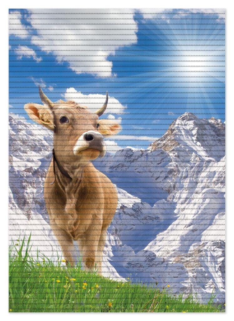 Wallario Duschmatte Antirutschmatte Badmatte Fußmatte Kuh im Sonnenschein in den Alpen, Größe ca. 70 x 50 cm