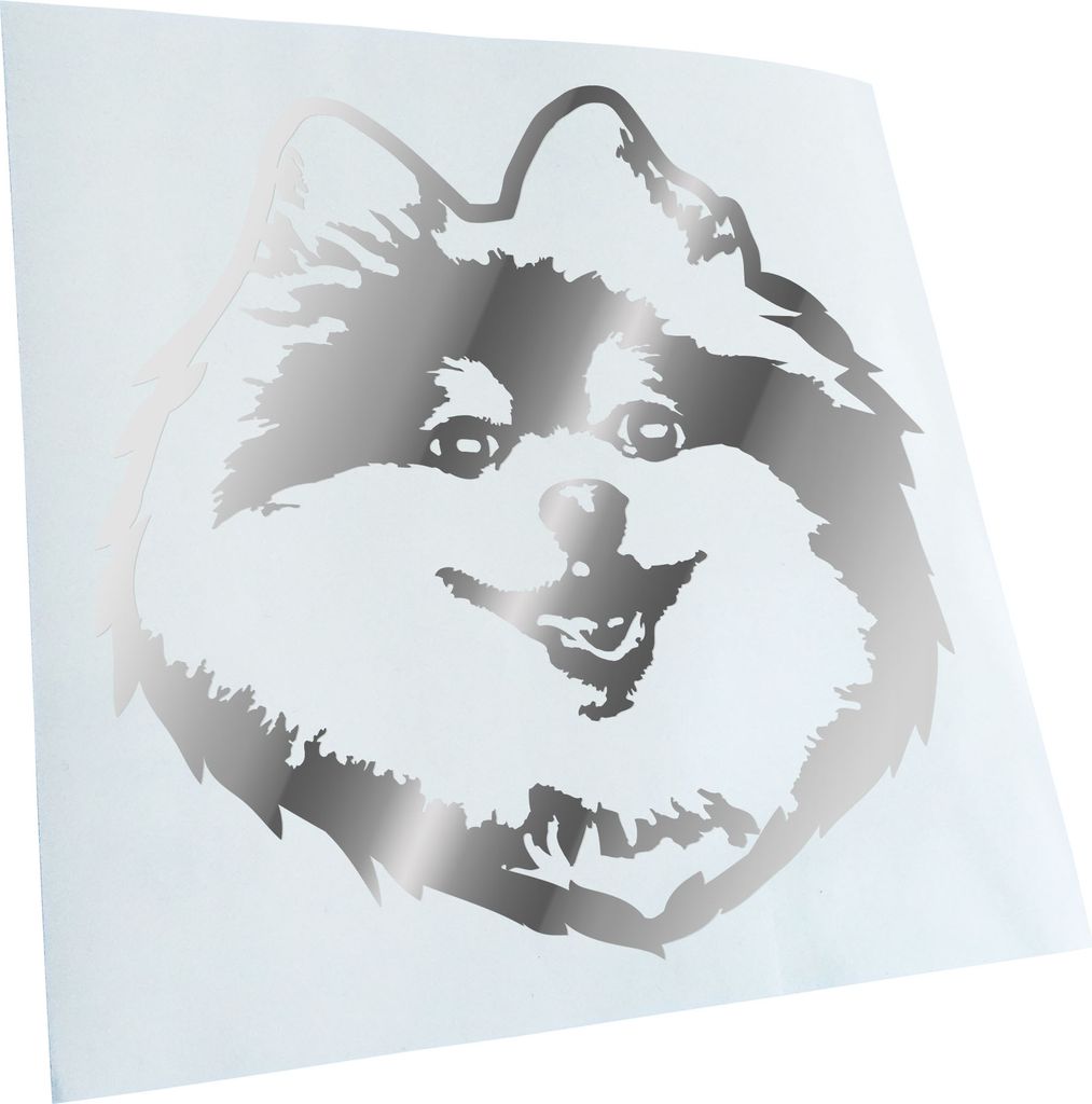 Kiwistar - Autoaufkleber - Pomeranian Hund - Chrom - 30x30cm - Aufkleber für Auto, Laptop, Fahrrad, LKW, Motorrad mehrfarbig JDM Decal Racing