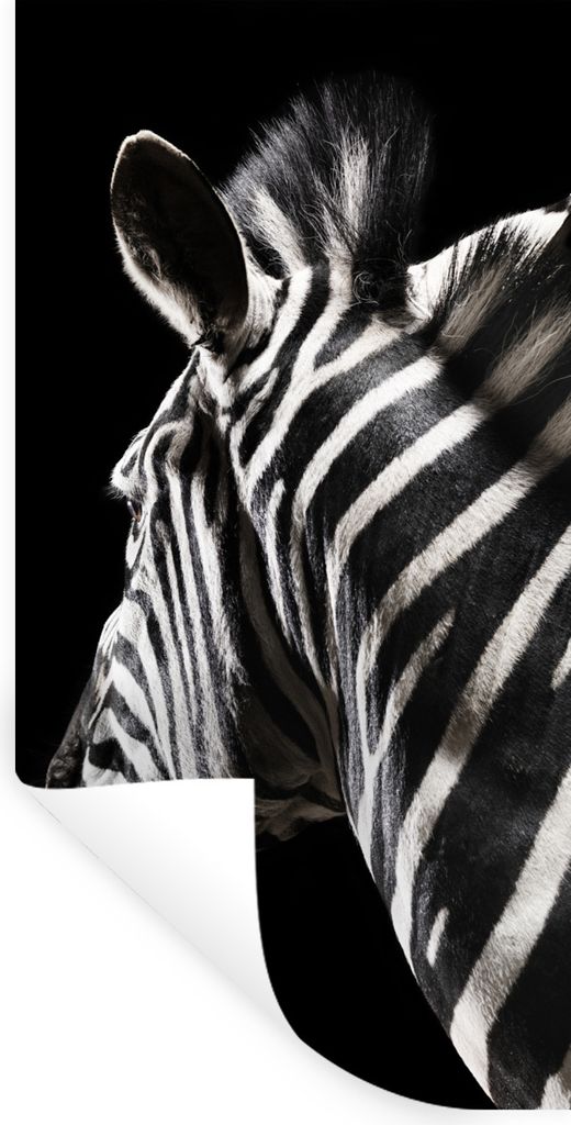 MuchoWow Wandtattoo Wandsticker Wandaufkleber Zebra - Tier - Schwarz - Porträt 60x120 cm Selbstklebend und Repositionierbar - Selbstklebend - Fo...