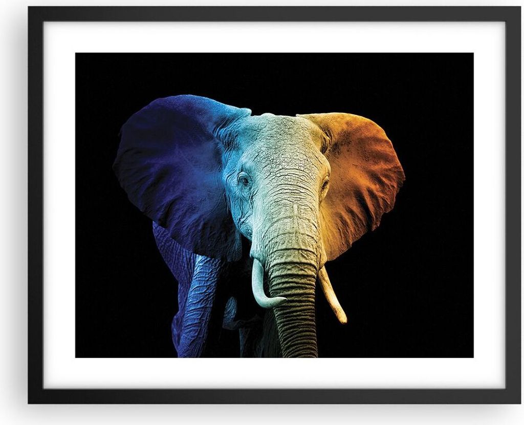 Gerahmtes Poster - Schwarzer Rahmen - Bunt Elefant Fotografie - 50x40 cm - Wand Bild - Wanddeko - Wandbilder - Kunstposter - Wandposter - Bilderrah...
