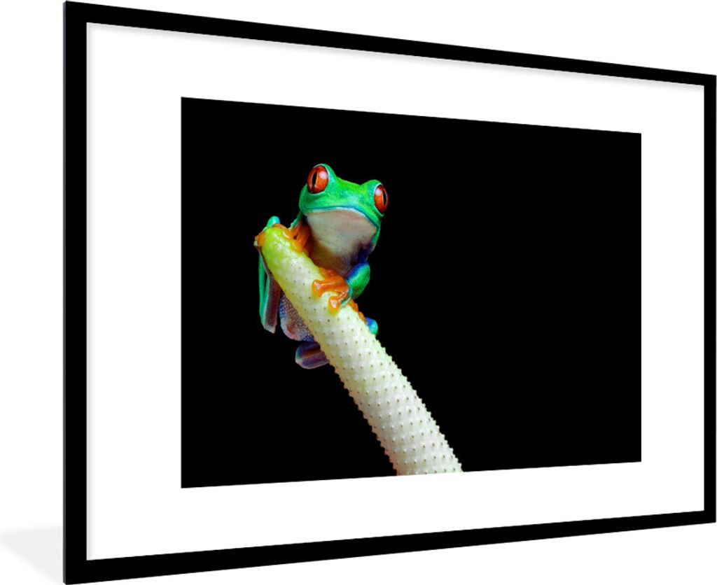MuchoWow Gerahmtes Poster Frosch - Tier - Pflanze 90x60 cm - Poster mit Schwarzem Bilderrahmen Wandposter Rahmen Foto Bilder - Wanddekoration - F...