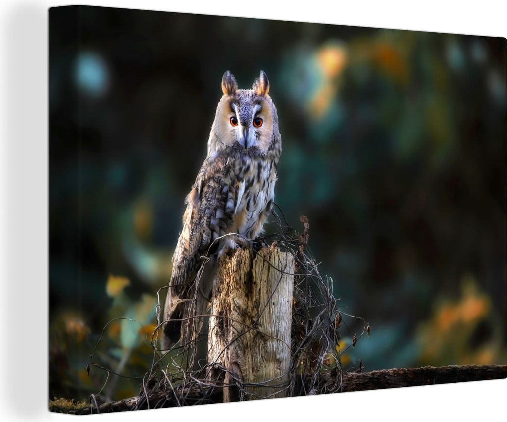 OneMillionCanvasses - Leinwandbilder - 140x90 cm, Eule - Herbst - Vogel - Äste, Wandbilder Kunstdruck Wanddekoration - Foto auf Leinwand - Gemä...