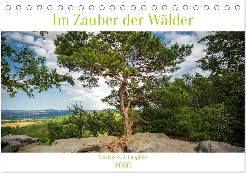 Im Zauber der Wälder (Tischkalender 2026 DIN A5 quer), CALVENDO Monatskalender