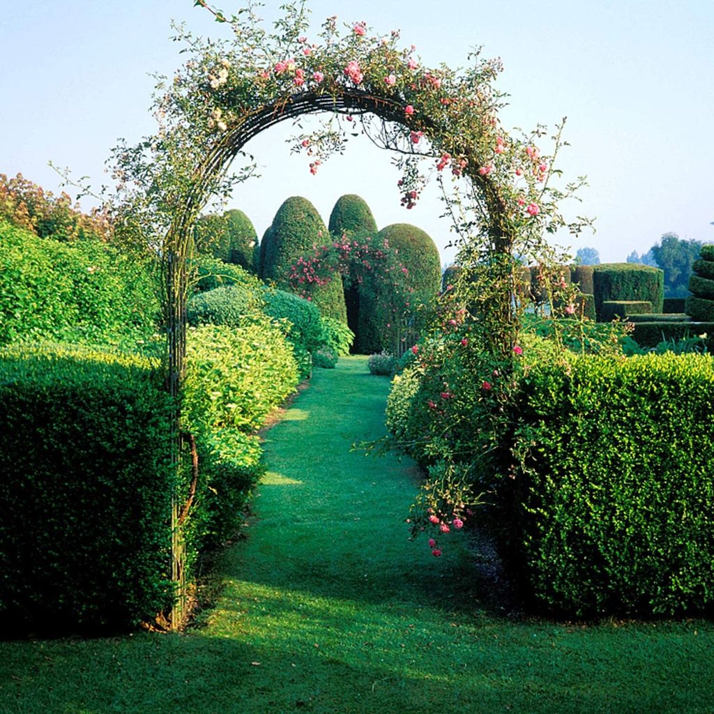 Speed rose arch 240x140x38cm kovová pergola pro šplhání / Obrázek produktu 10