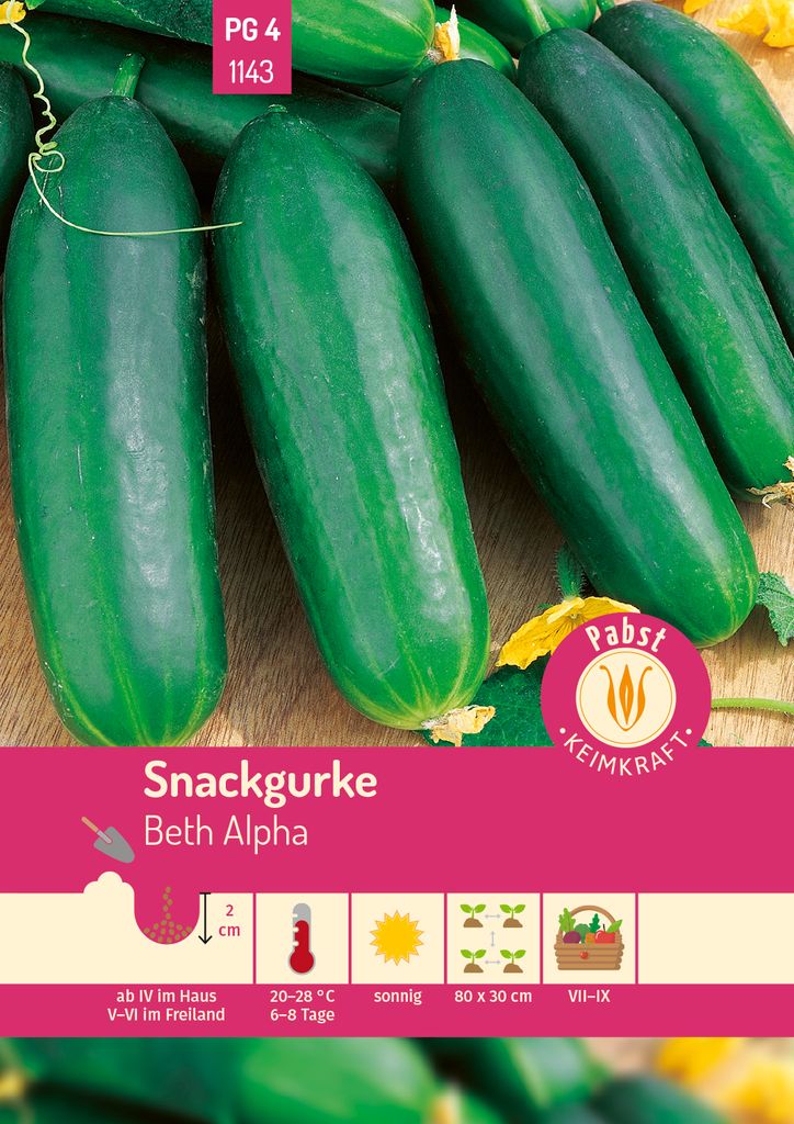 Pabst Keimkraft - Snackgurke kurz & glattschalig Beth Alpha Produktbild 