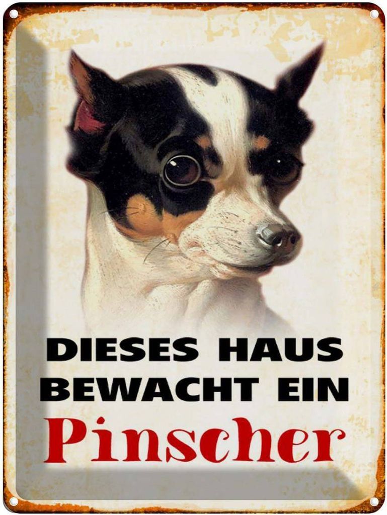 vianmo Blechschild 40x30 cm Hund dieses Haus bewacht ein Pinscher