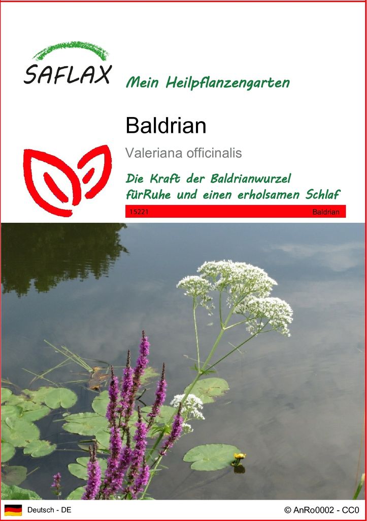 SAFLAX - Heilpflanzen - Baldrian - 200 Samen - Valeriana officinalis