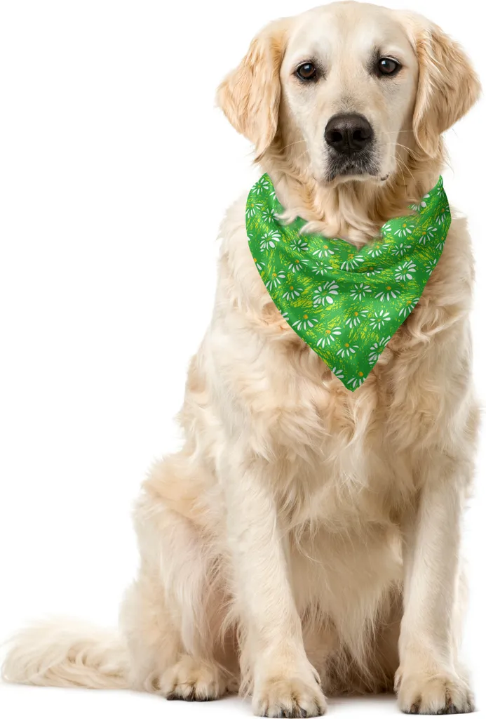 Bandana Professionale ABAKUHAUS Fiori Margherite 55x55 Giallo