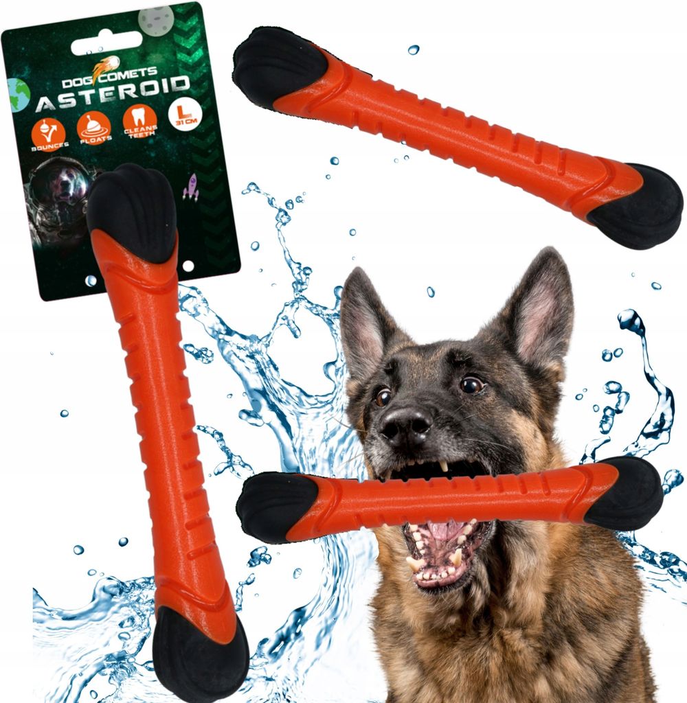 Chien Comètes Astéroïde Orange L Image du produit 