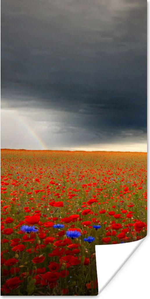 MuchoWow Poster Blumen - Rot - Grau 80x160 cm - Kinderzimmer