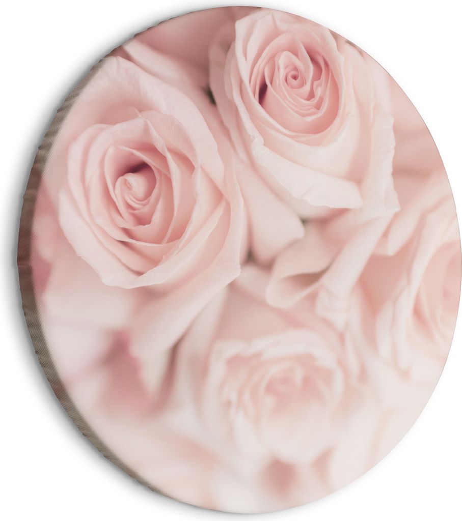 Runde Bilder 80x80 cm rosa Rosen Leinwandbild 1 tlg Produktbild 
