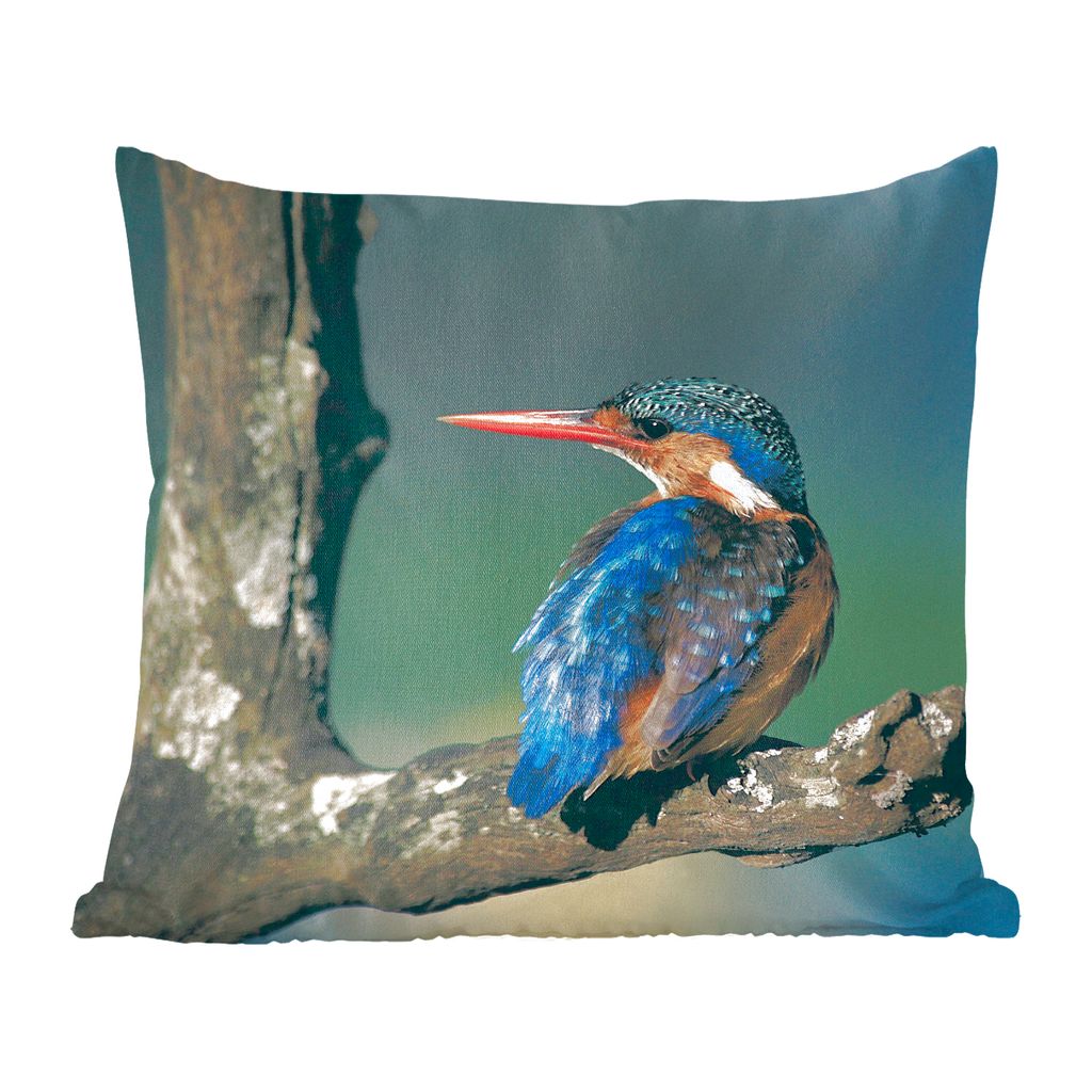 MuchoWow Zierkissen Sofakissen Wohnzimmer Dekokissen 60x60 cm Eisvogel - Tier - Farbenfroh - Sitzfläche - Foto Polster