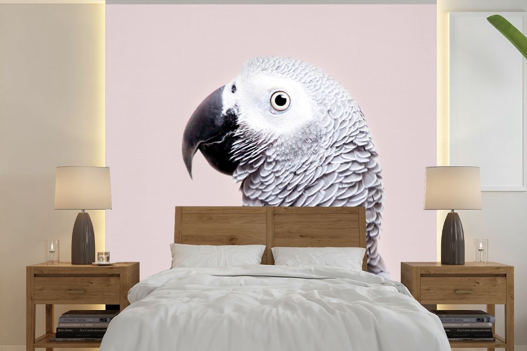MuchoWow Fototapete für Wohnzimmer oder Schlafzimmer Wandtapete Vinyl Motivtapete Papagei - Grau - Tiere - Natur - 220x220 cm - Tapeten