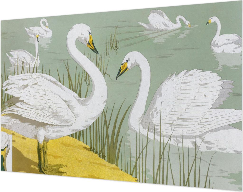 Wandtapete - Dekorative Tapete für Wohnzimmer- Tapetenfolie für Wanddekoration - 104x70 cm - Schwanensee