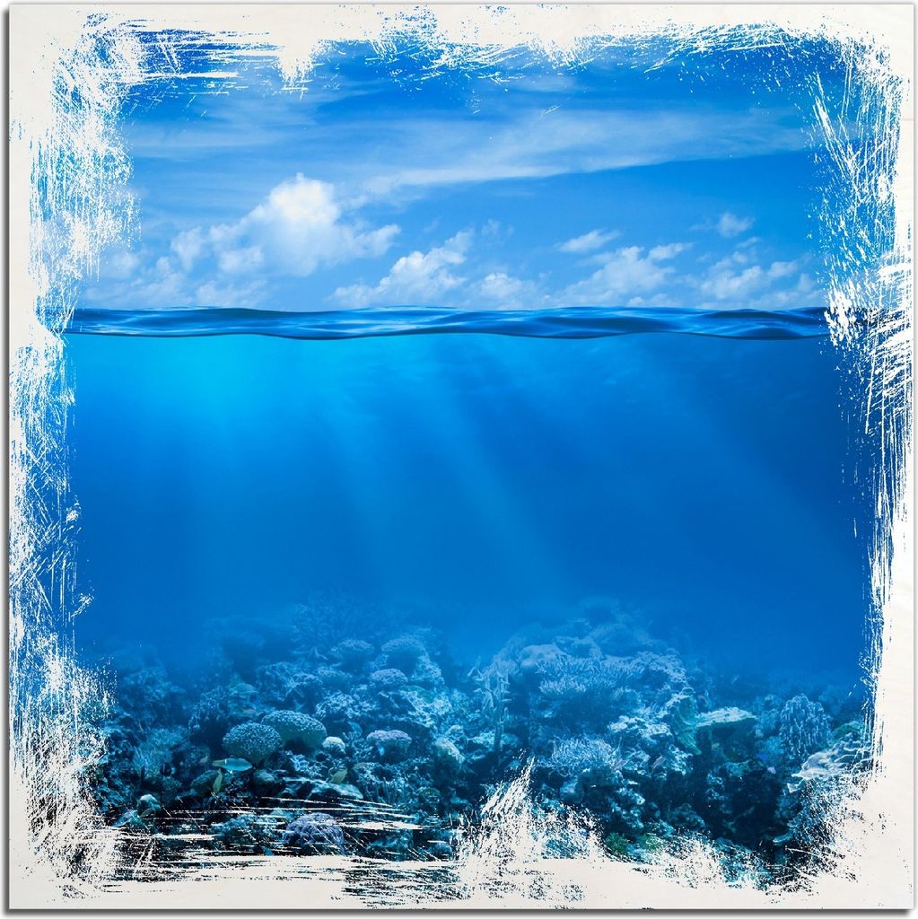Kunstdrucke Wandbilder Holz in : Brillante Farben, Größe 50 x 50 cm Motiv Unterwasserwelt Meer